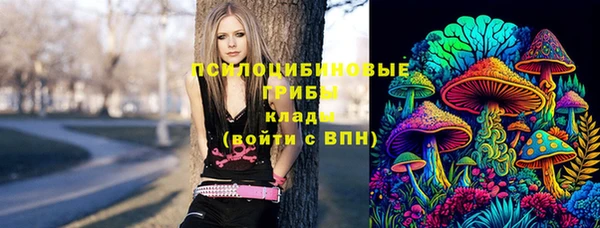 дживик Богданович