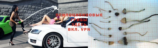 дживик Богданович
