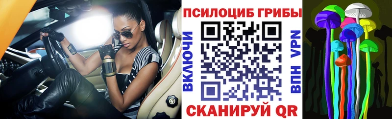 Галлюциногенные грибы мухоморы  ОМГ ОМГ зеркало  Челябинск  продажа наркотиков 