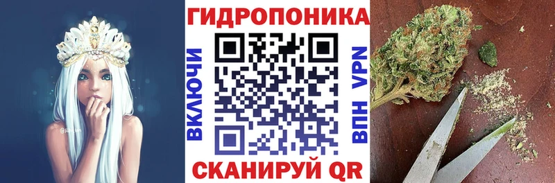 OMG маркетплейс  купить  сайты  Челябинск  МАРИХУАНА гибрид 